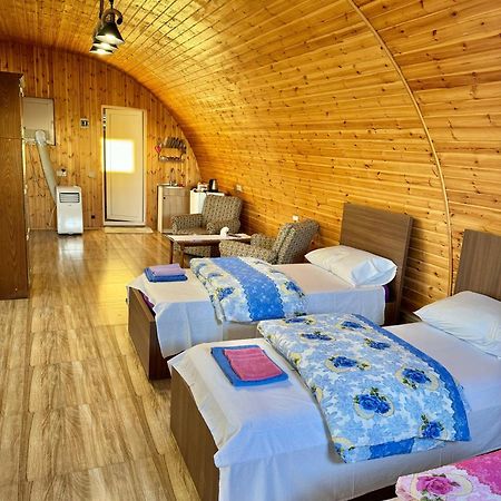 Guest House Amo Kutaisi Bagian luar foto